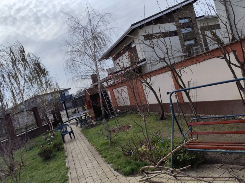  - Primavara 2025