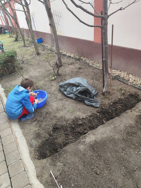  - Primavara 2025