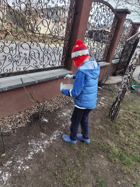  - Primavara 2025