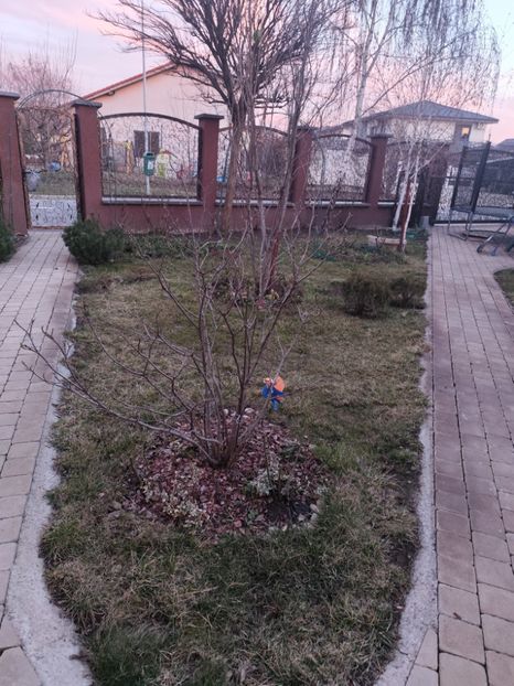  - Primavara 2025