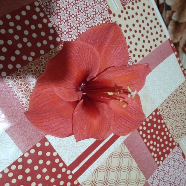 .trashed-1744191029-20250302_160343 - 2025 - aprilie