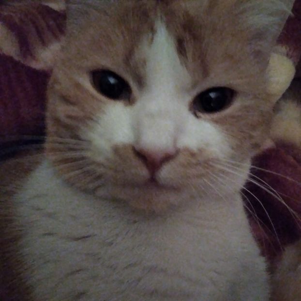 .trashed-1744455739-20250309_034309 - 2025 - aprilie