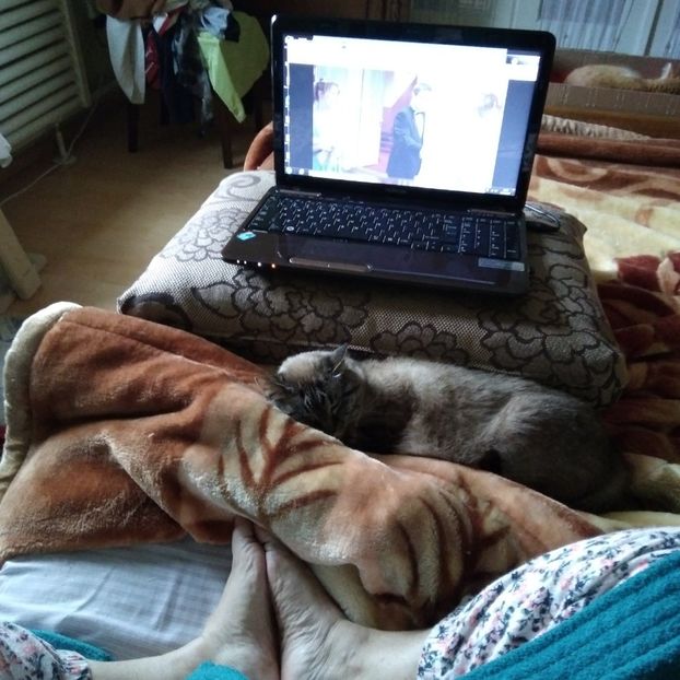 .trashed-1744455783-20250209_110047 - 2025 - aprilie