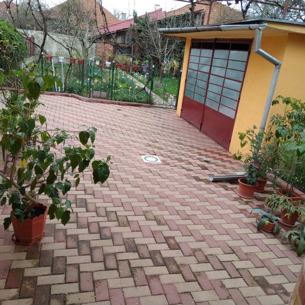  - Primavara 2025