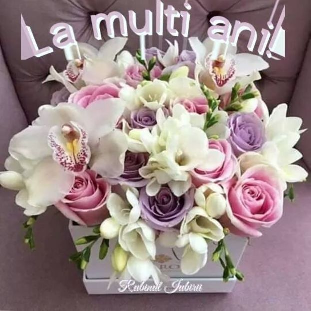 IMG-20220606-WA0002 - 2025 poze vechi