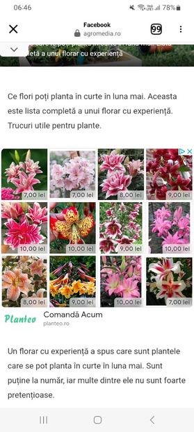 Screenshot_20250406_064622_Facebook - Flori pe care le poti planta in curte in luna mai