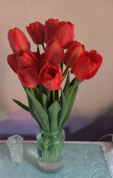  - Florile mele