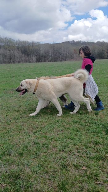 40dd8716-4317-43dc-8caa-9b59ada0f4e6 - hira