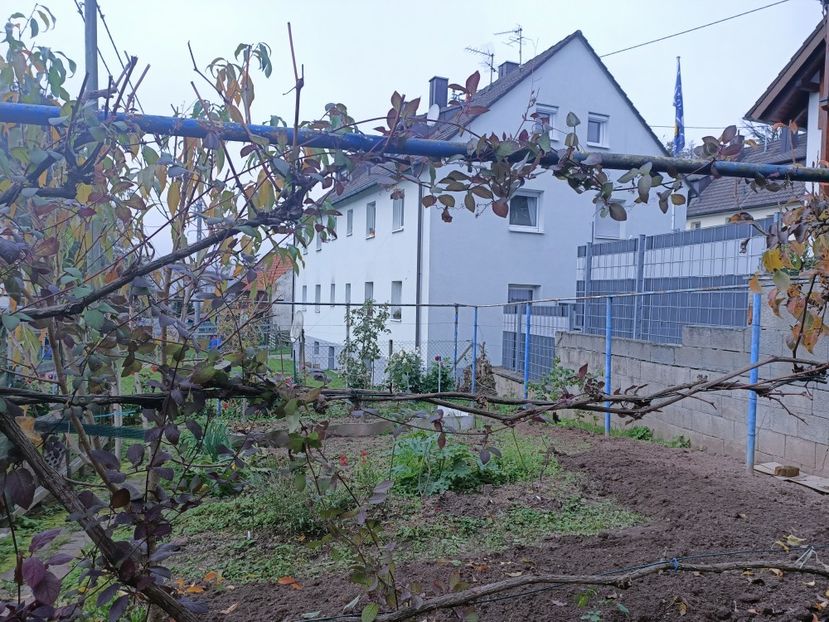 Img.2024.10.30 - A doua grădină 2