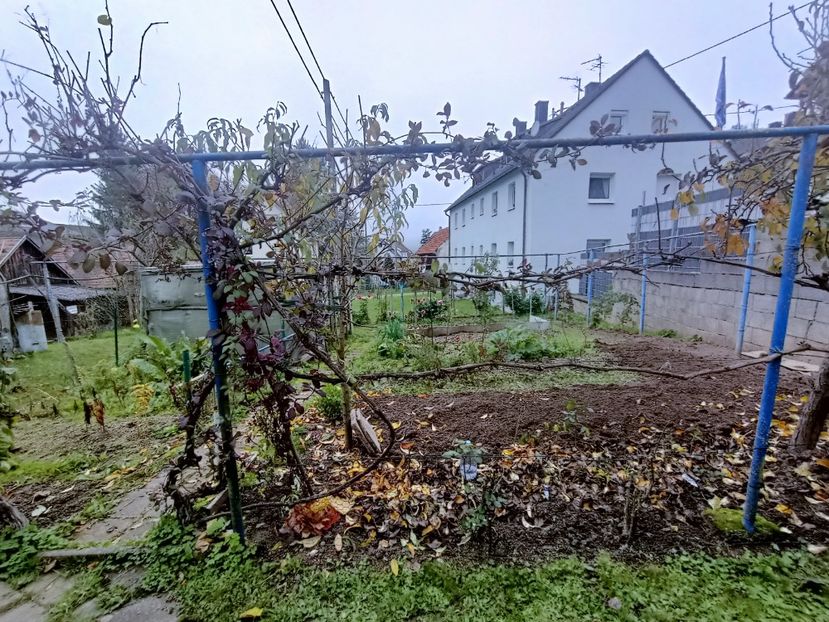 Img.2024.10.30 - A doua grădină 2