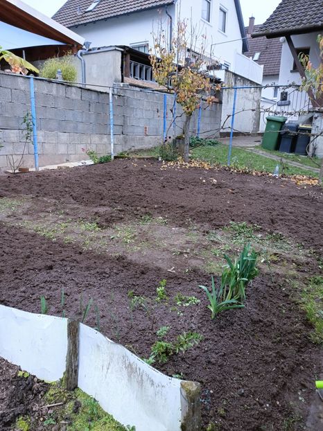 Img.2024.10.31 - A doua grădină 2