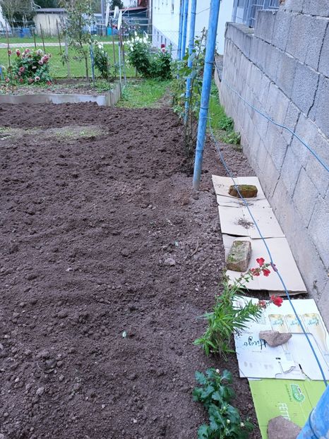 Img.2024.10.31 - A doua grădină 2