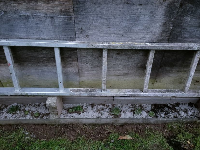 Img.2024.11.02 - A doua grădină 2