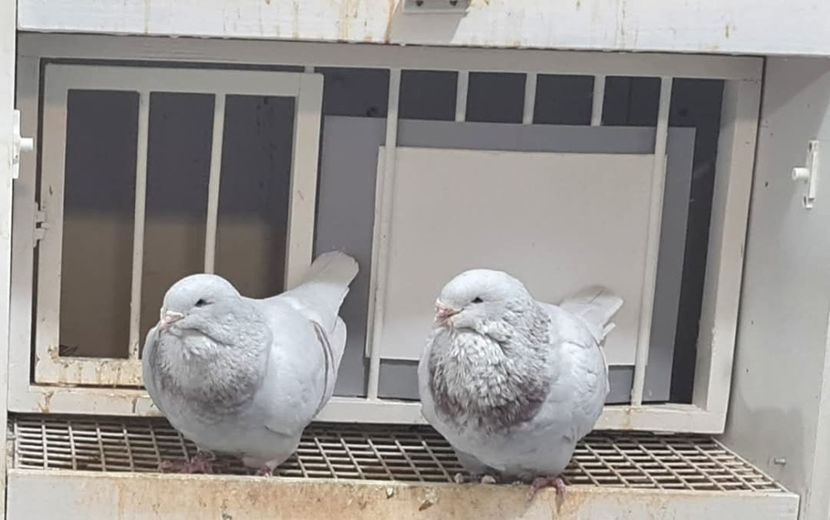 F 2023 - M 2020  - Top ten 2024