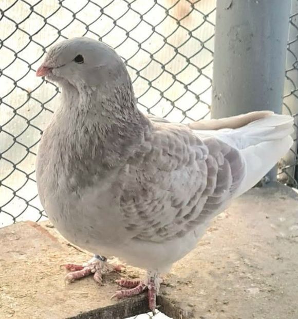 F 2024  - Top ten 2024