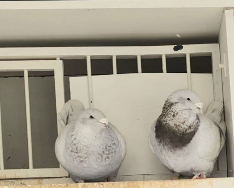 M 2023 - F 2022  - Top ten 2024