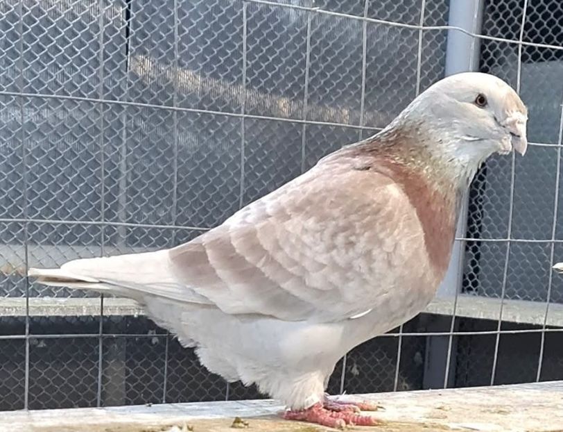 M 2024  - Top ten 2024