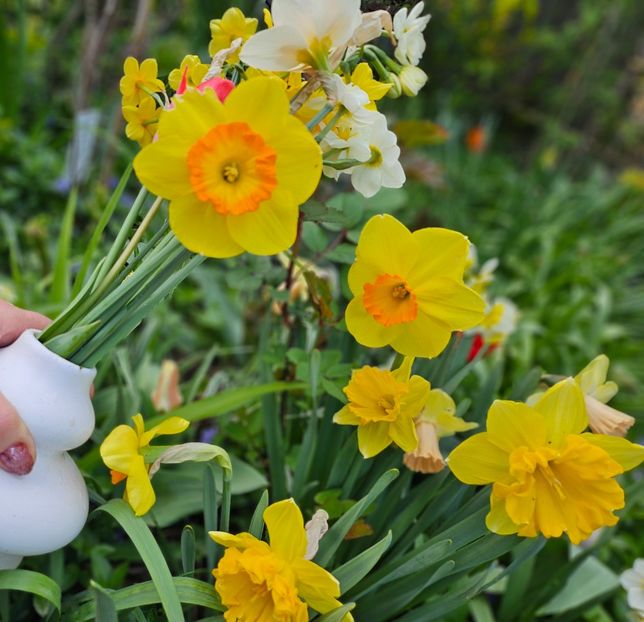  - Narcise 2019 2022 25