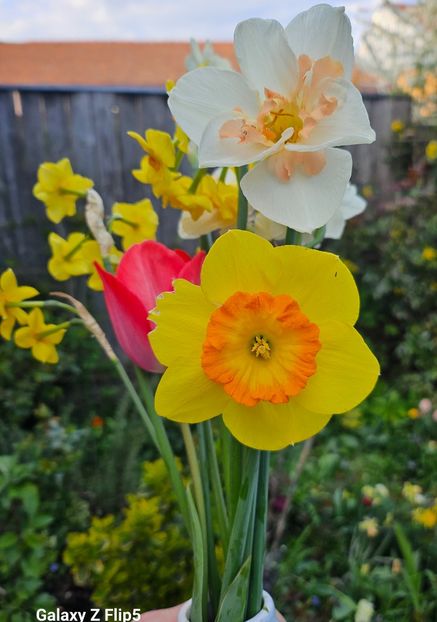  - Narcise 2019 2022 25