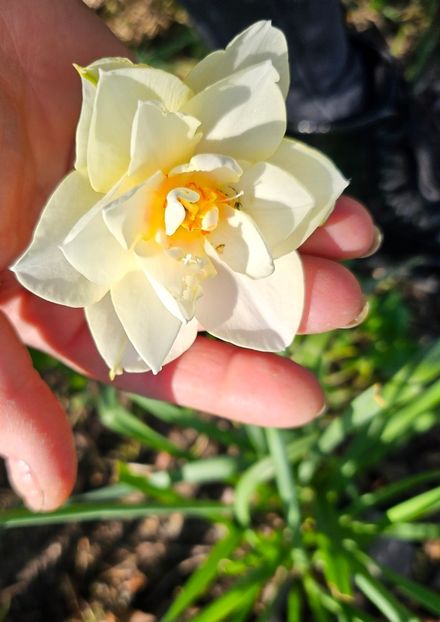  - Narcise 2019 2022 25