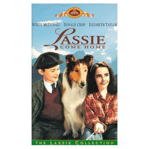  - poze cu Lassie Come Home