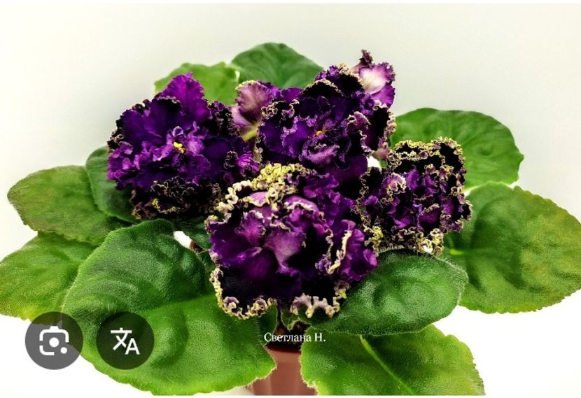 Poza net - AV- GROZOVYIE OBLAKA