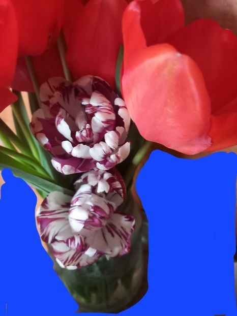  - Florile mele