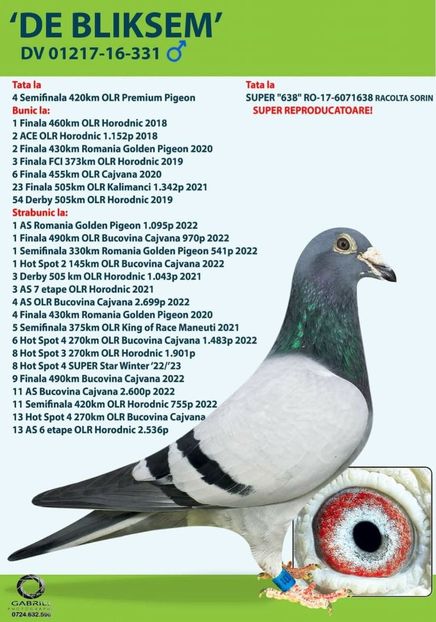 IMG-20250409-WA0005 - Porumbei voiajori la matca