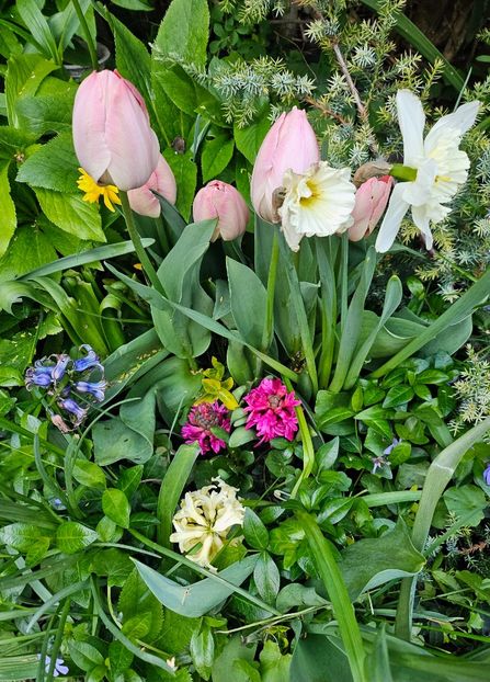  - Narcise 2019 2022 25