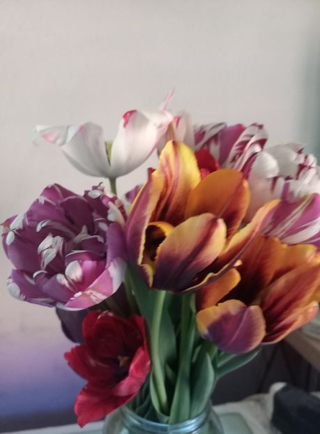  - Florile mele