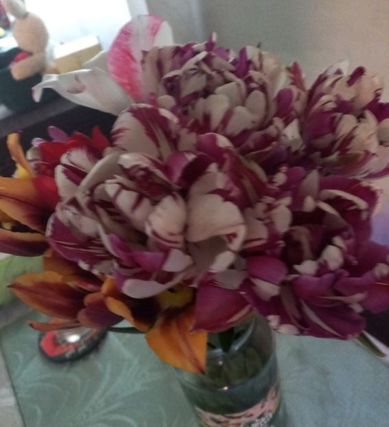  - Florile mele