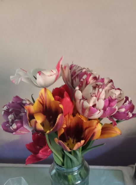  - Florile mele