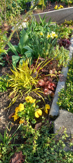  - 2025 - 01 - Primavara