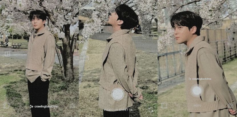 ℭh̤o̤i̤➲[¹⁴Ap]Ꭻo̤n̤g̤h̤o̤, euphonic teddybear. - Murmur of Lost Time