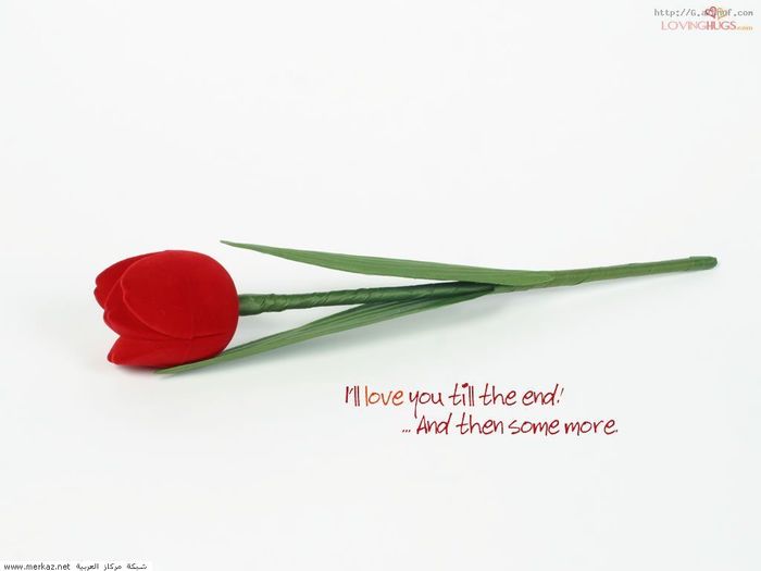 love_wallpaper_Till_the_End - LOVE 4