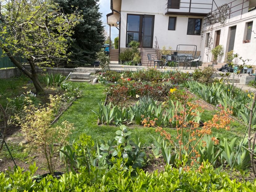  - 0005 - Gradina - 2025