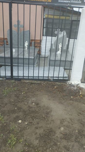 IMG-20250329-WA0012 - 2025 poze