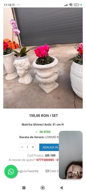 Screenshot_2025-04-08-17-18-07-909_com.brave.browser - 2025 poze