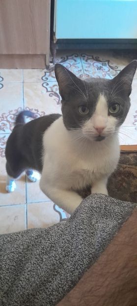 IMG-20250314-WA0000 - 2025 poze