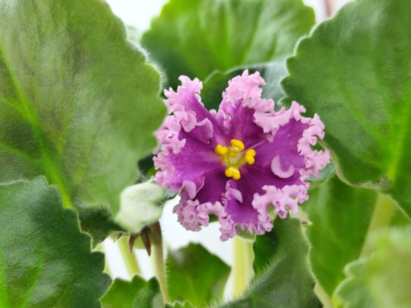 14.04.2025 - LF Darya