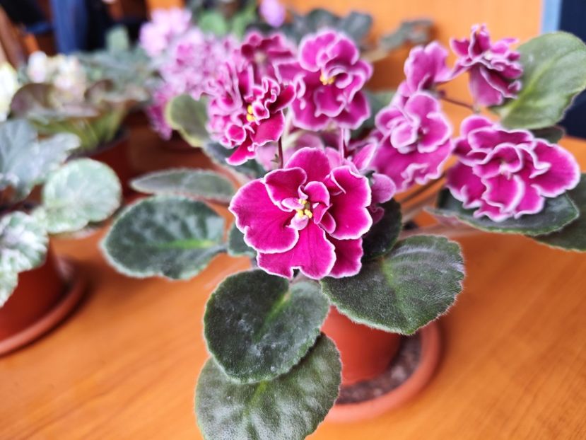 14.04.2025 - Bob Serbin