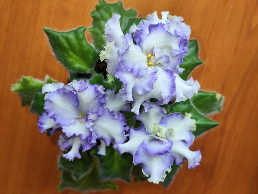 14.04.2025 - RM Golubaya Lenta