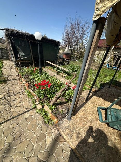 WhatsApp Image 2025-04-16 at 20.17.32_feec61b5 - 0 00 0 2025 16 04 2025 Roman