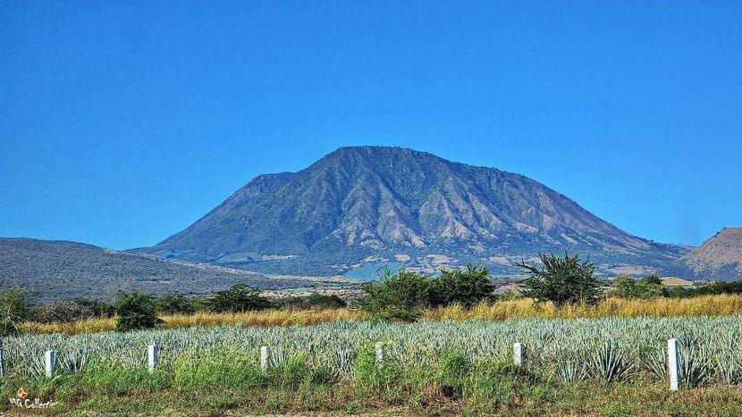 Mountains and agaves - --- MEXICO