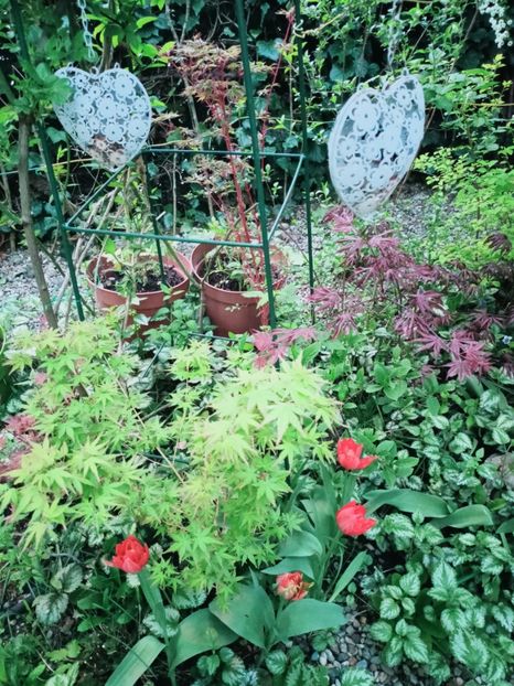 Bi Hoo - Grădina 2025 continuare 1