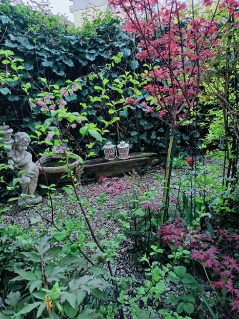  - Grădina 2025 continuare 1