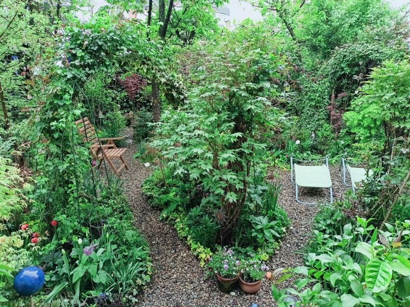  - Grădina 2025 continuare 1