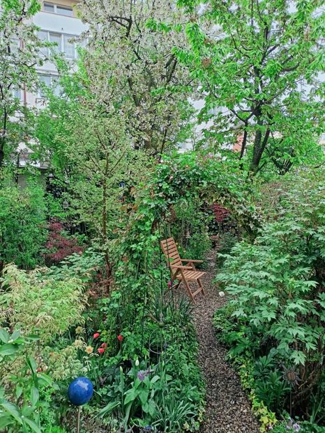  - Grădina 2025 continuare 1