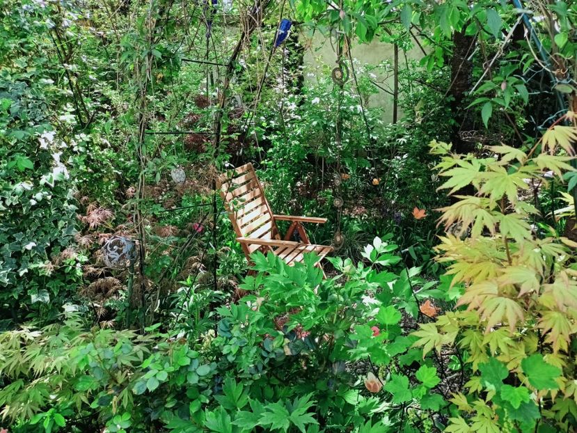  - Grădina 2025 continuare 1