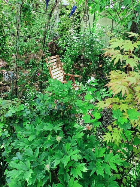  - Grădina 2025 continuare 1